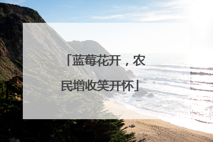 蓝莓花开，农民增收笑开怀