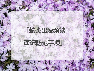 蛇类出没频繁 谨记防范事项