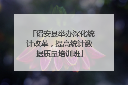 诏安县举办深化统计改革，提高统计数据质量培训班