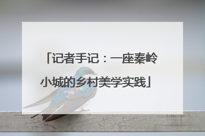 记者手记：一座秦岭小城的乡村美学实践