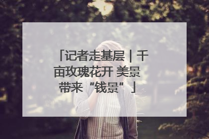 记者走基层｜千亩玫瑰花开 美景带来“钱景”