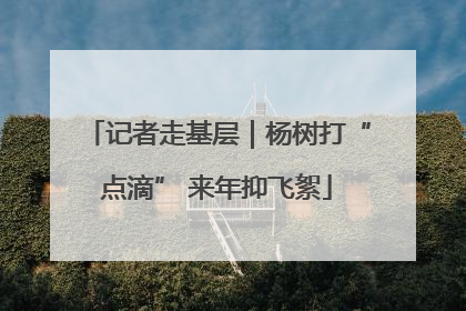 记者走基层｜杨树打“点滴” 来年抑飞絮