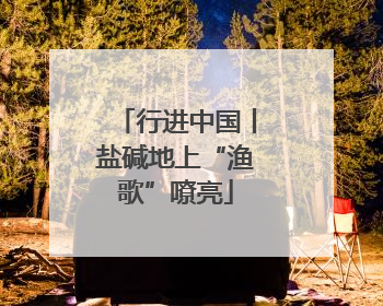 行进中国丨盐碱地上“渔歌”嘹亮