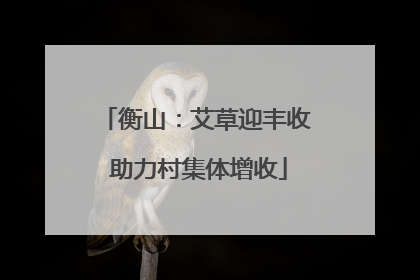 衡山：艾草迎丰收 助力村集体增收