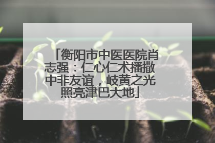 衡阳市中医医院肖志强：仁心仁术播撒中非友谊，岐黄之光照亮津巴大地