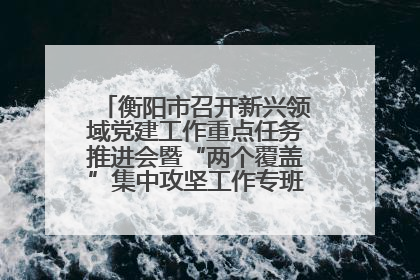 衡阳市召开新兴领域党建工作重点任务推进会暨“两个覆盖”集中攻坚工作专班 第一次会议
