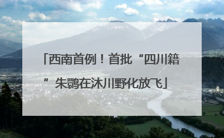 西南首例！首批“四川籍”朱鹮在沐川野化放飞
