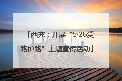 西充：开展“5·26爱路护路”主题宣传活动
