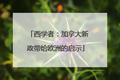 西学者：加拿大新政带给欧洲的启示