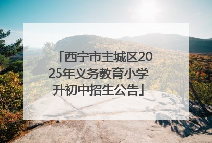 西宁市主城区2025年义务教育小学升初中招生公告
