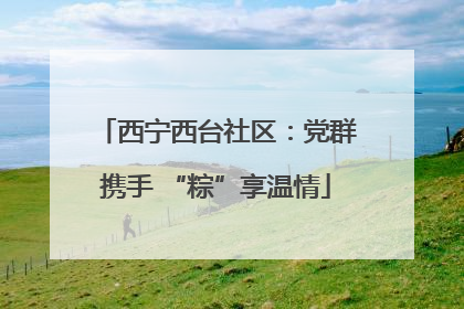 西宁西台社区：党群携手 “粽”享温情