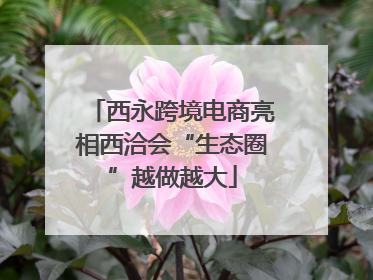 西永跨境电商亮相西洽会“生态圈”越做越大