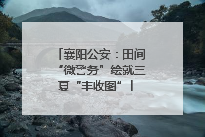 襄阳公安：田间“微警务”绘就三夏“丰收图”