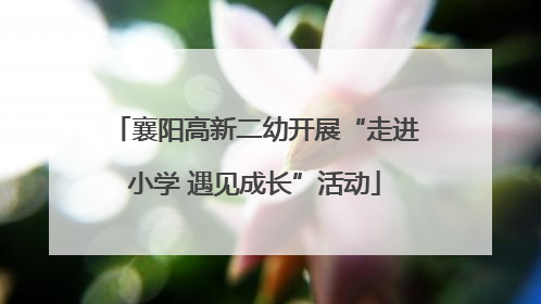 襄阳高新二幼开展“走进小学 遇见成长”活动