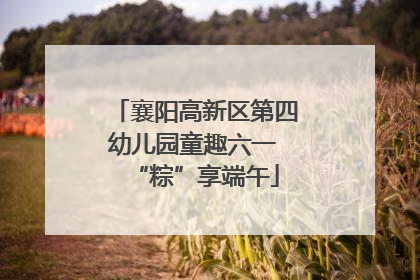 襄阳高新区第四幼儿园童趣六一 “粽”享端午