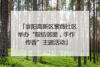 襄阳高新区紫薇社区举办“粽情邻里，手作传香”主题活动
