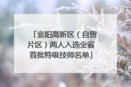 襄阳高新区（自贸片区）两人入选全省首批特级技师名单