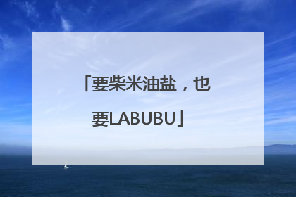 要柴米油盐，也要LABUBU