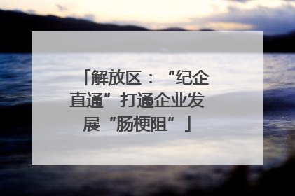 解放区：“纪企直通”打通企业发展“肠梗阻”