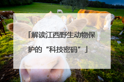 解读江西野生动物保护的“科技密码”