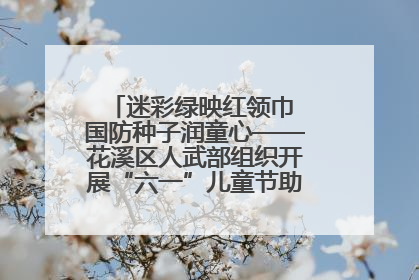 迷彩绿映红领巾 国防种子润童心——花溪区人武部组织开展“六一”儿童节助学兴教活动