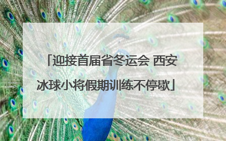 迎接首届省冬运会 西安冰球小将假期训练不停歇
