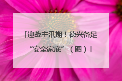 迎战主汛期！德兴备足“安全家底”（图）