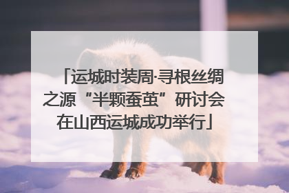 运城时装周·寻根丝绸之源“半颗蚕茧”研讨会在山西运城成功举行