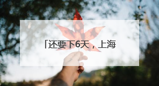 还要下6天，上海本周梅雨“全勤”，今年首个台风真的要来了！最新研判→