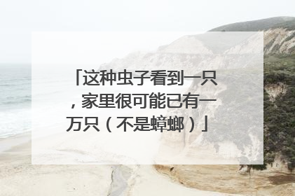 这种虫子看到一只，家里很可能已有一万只（不是蟑螂）