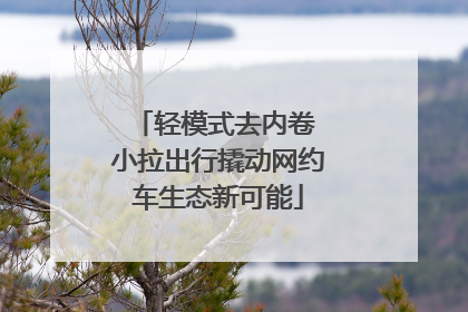轻模式去内卷 小拉出行撬动网约车生态新可能