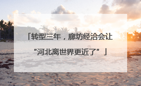 转型三年，廊坊经洽会让“河北离世界更近了”