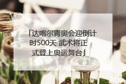 达喀尔青奥会迎倒计时500天 武术将正式登上奥运舞台