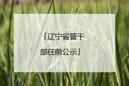 辽宁省管干部任前公示