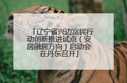 辽宁省兴边富民行动创新推进试点（安居融居方向）启动会在丹东召开