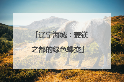 辽宁海城：菱镁之都的绿色蝶变