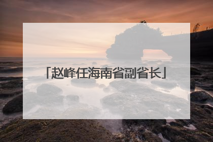 赵峰任海南省副省长