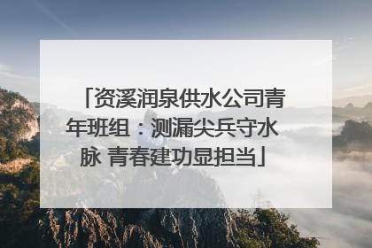 资溪润泉供水公司青年班组：测漏尖兵守水脉 青春建功显担当