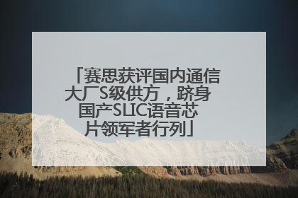 赛思获评国内通信大厂S级供方，跻身国产SLIC语音芯片领军者行列