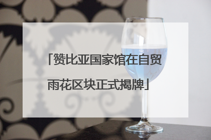 赞比亚国家馆在自贸雨花区块正式揭牌