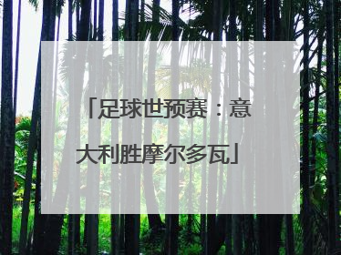 足球世预赛：意大利胜摩尔多瓦