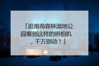 逛南苑森林湿地公园看到这样的照相机，千万别动！