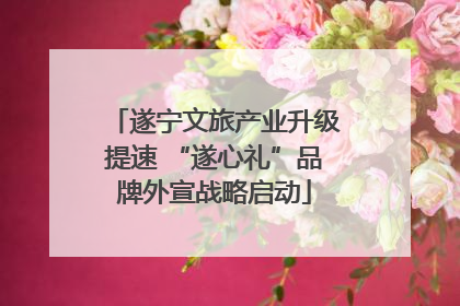 遂宁文旅产业升级提速 “遂心礼”品牌外宣战略启动