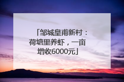 邹城皇甫新村：荷塘里养虾，一亩增收6000元