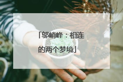 邬峭峰：相连的两个梦境