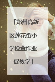 郑州高新区莲花街小学检查作业促教学