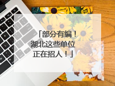 部分有编！湖北这些单位正在招人！