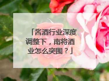 酱酒行业深度调整下，南将酒业怎么突围？