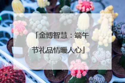 金博智慧：端午节礼品情暖人心