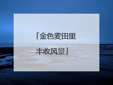 金色麦田里丰收风景